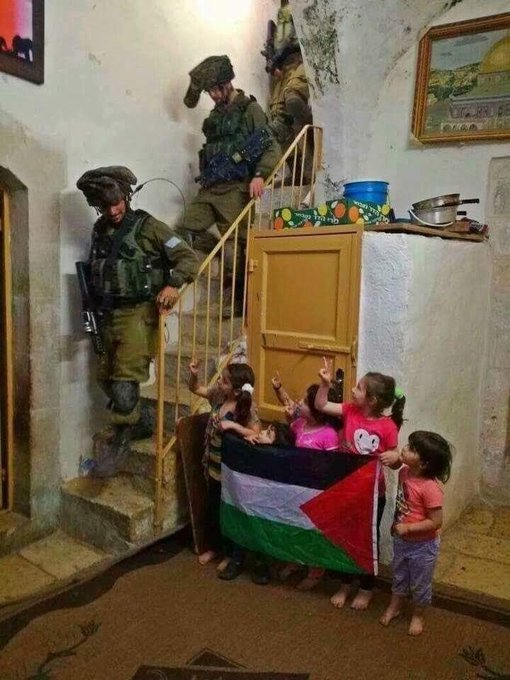 ultras_antifaa's tweet photo. Free Palestine. https://t.co/qcU9cy4THr