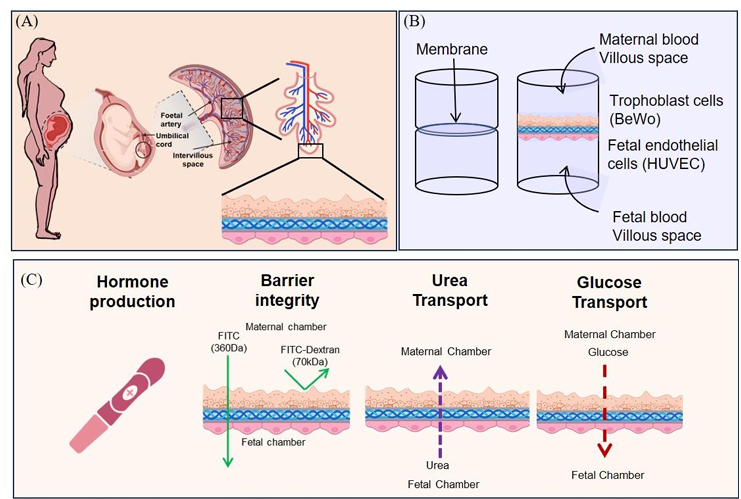 Deepak Modi tweet media