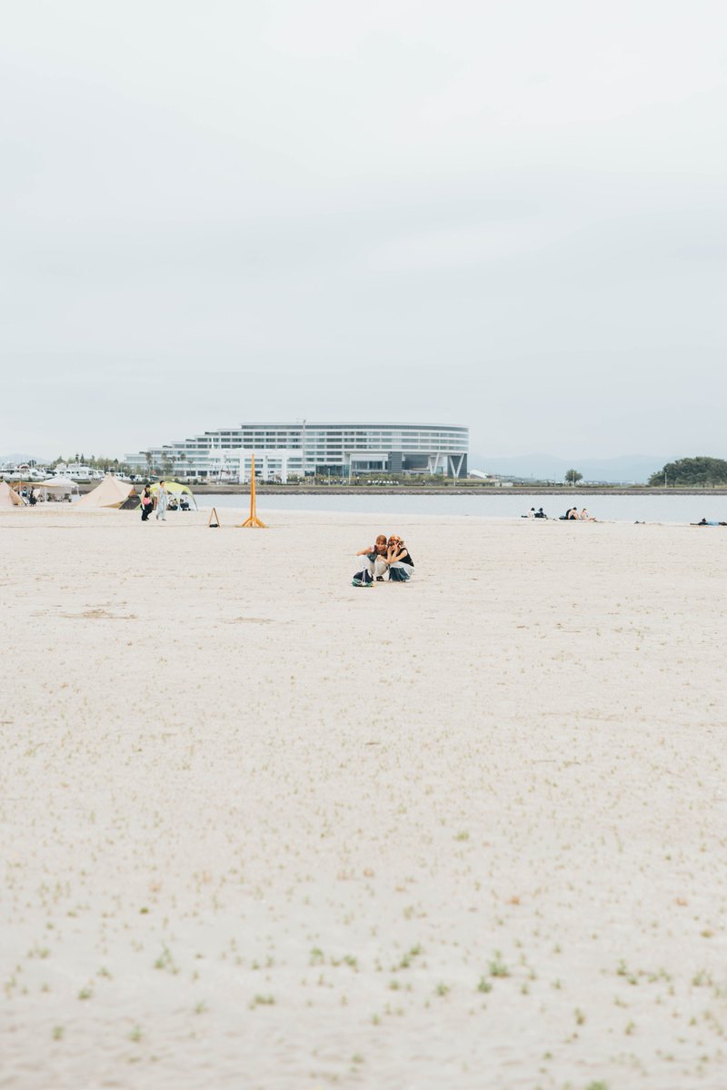 森、道、市場 tweet media