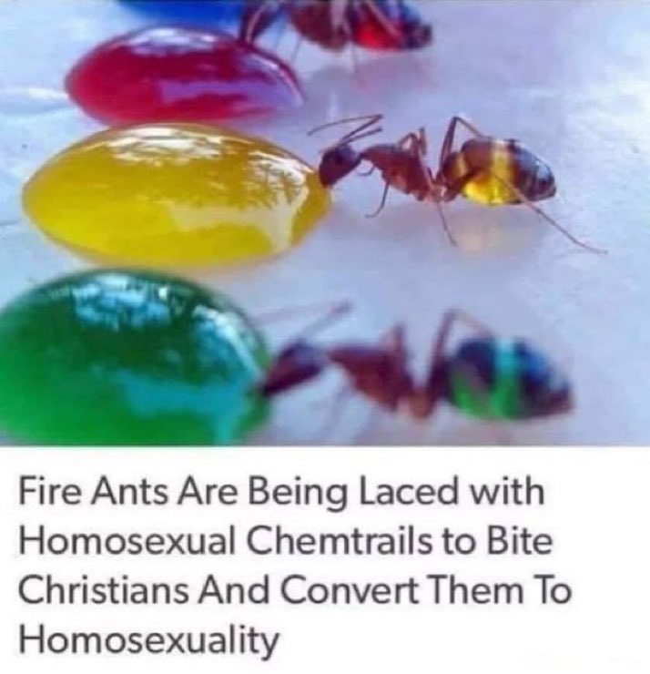 Pastor Alex tweet media