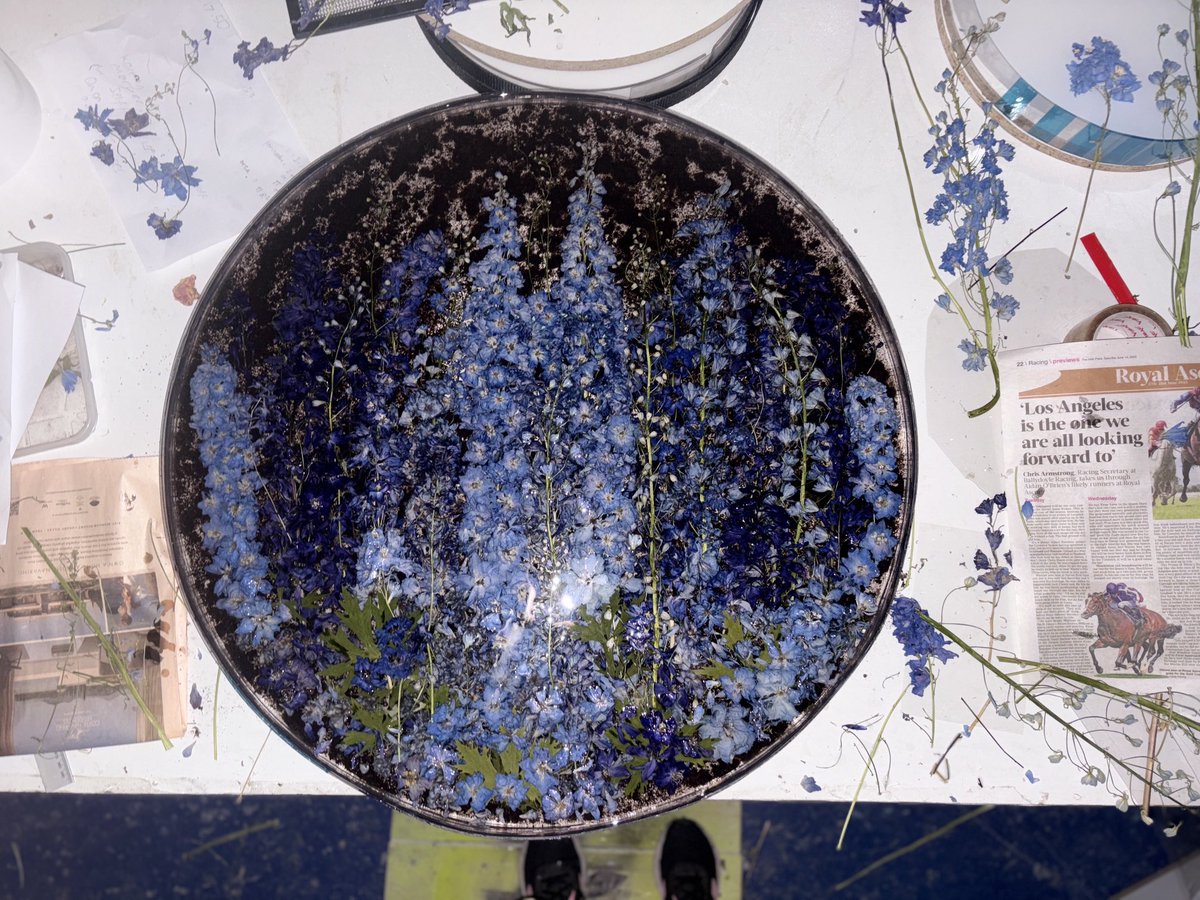 OliverSearsGallery tweet media