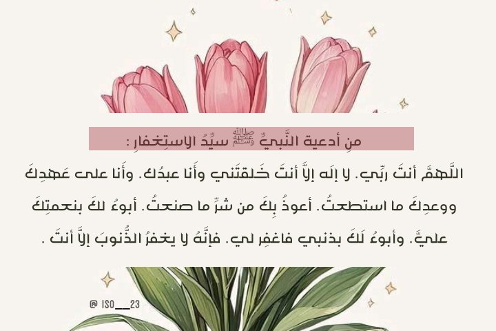 حَـــنـــاטּ🌷𝖍𝖆𝖓𝖆𝖓ツ tweet media