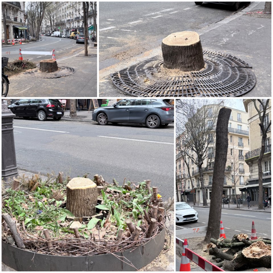 BIM 💥 
Sur 100 mètres, 4 arbres en moins rue Caulaincourt 😮
