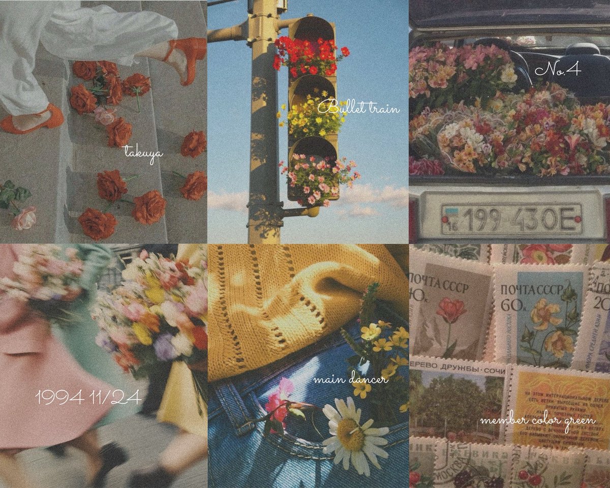 n a t s u . tweet media