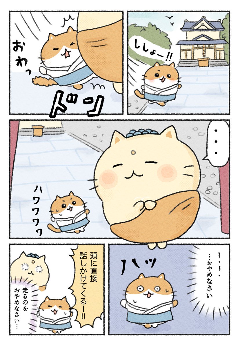 【新キャラできた✨】
子猫ぼうずの修行日記🐈① 