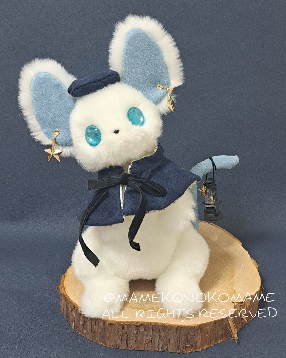 まめこ (@Mamekonokomame) / Posts / X