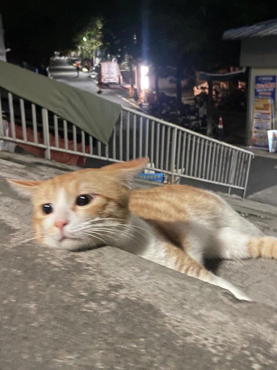 500杯も飲んだら流石にちょっと酔うな…