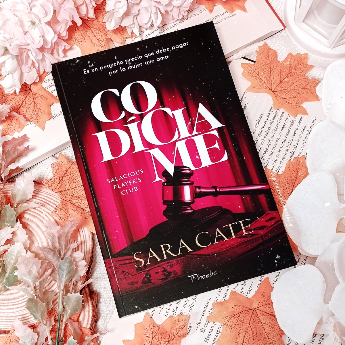 ᑭᖇⵔᗰᗴᔕᗩᔕ ᗪᗴ ᗩᗰⵔᖇ ❤️ tweet media