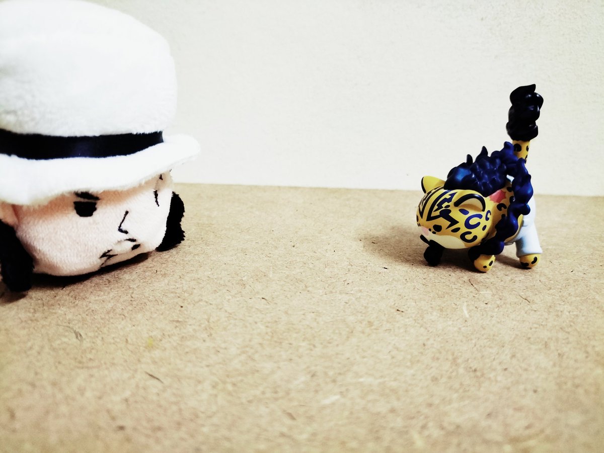 สุ่ม 1 กล่องได้ไอแมวเป้า