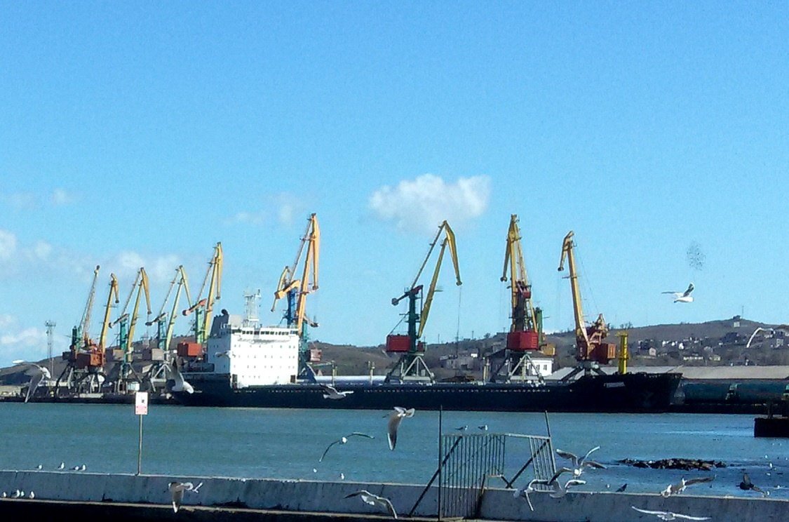 Катерина Яресько tweet media