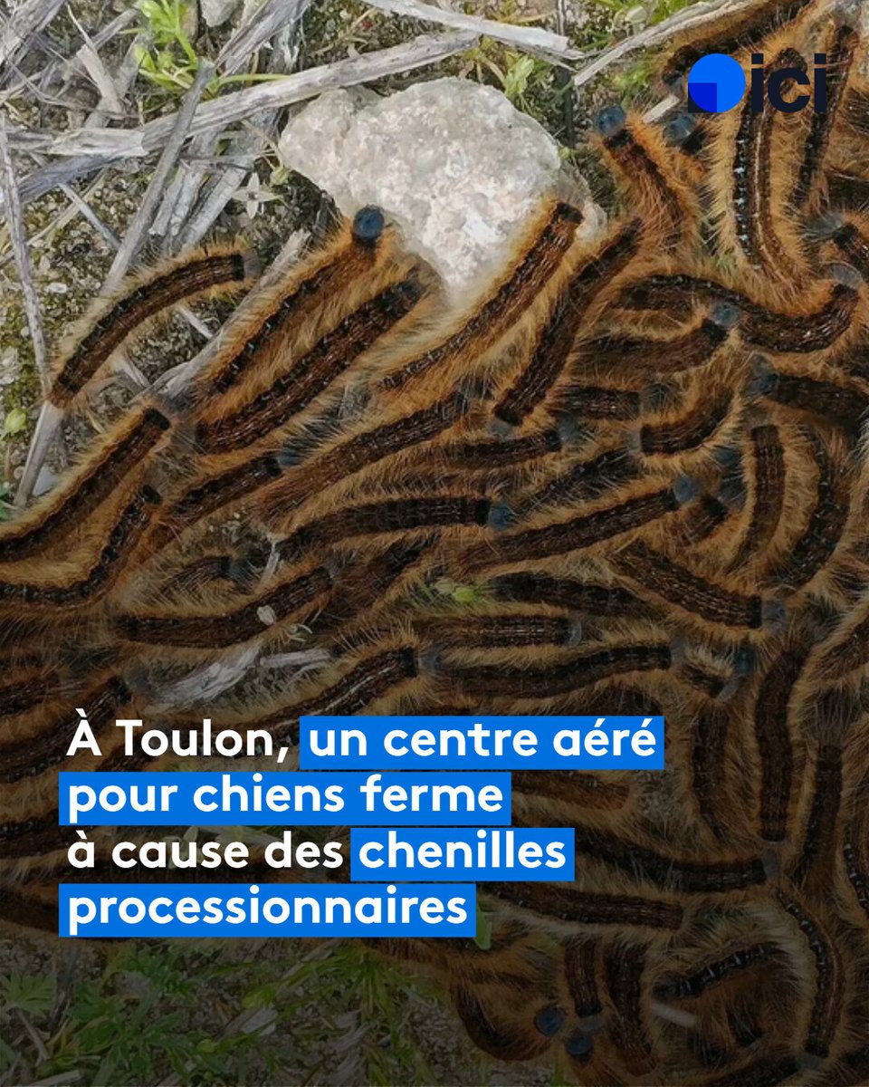 ICI Provence tweet media