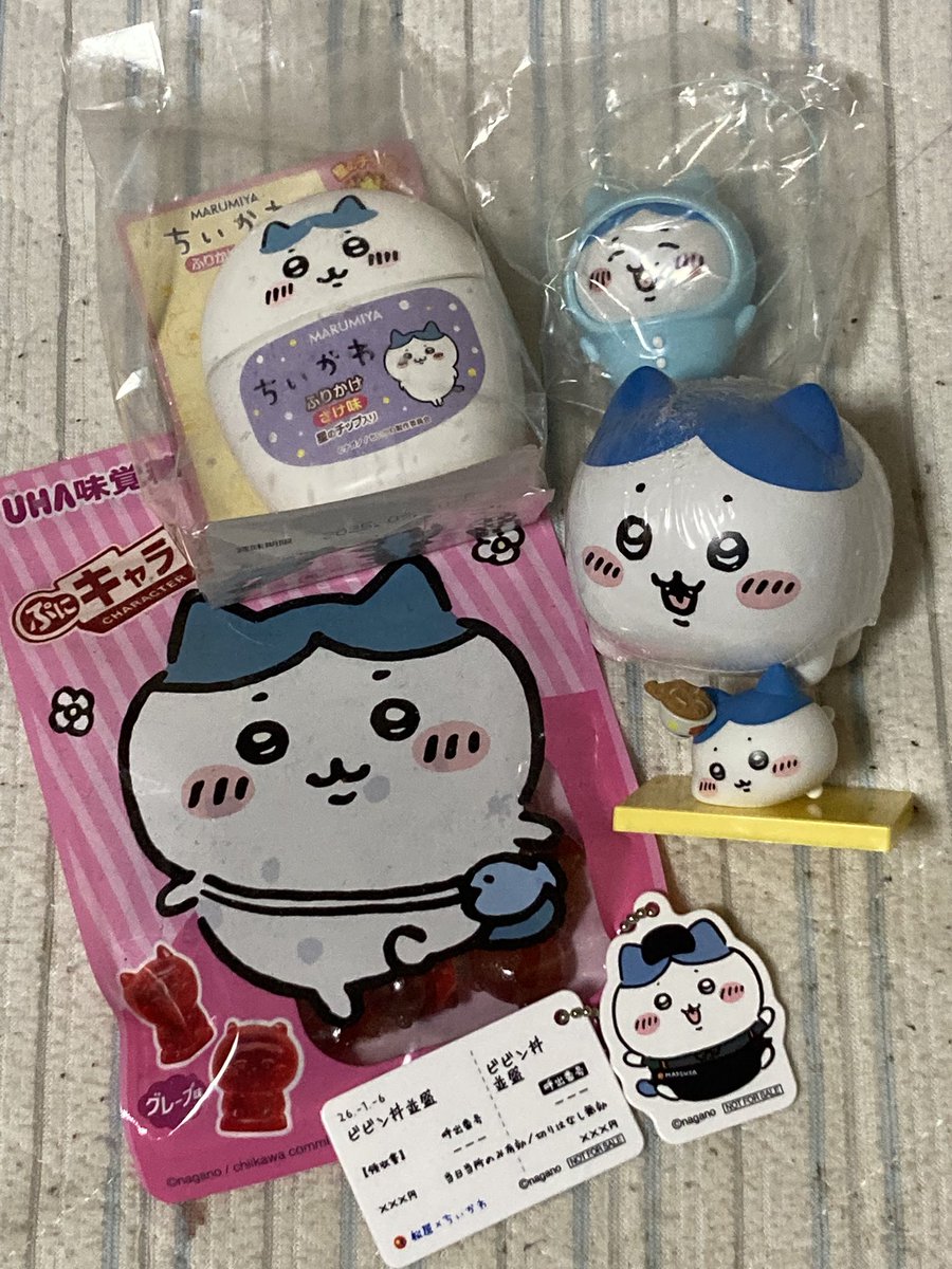 Post by 橋本 真弓🎏♨️🍜🐴🚘 on X: ハチワレさん！