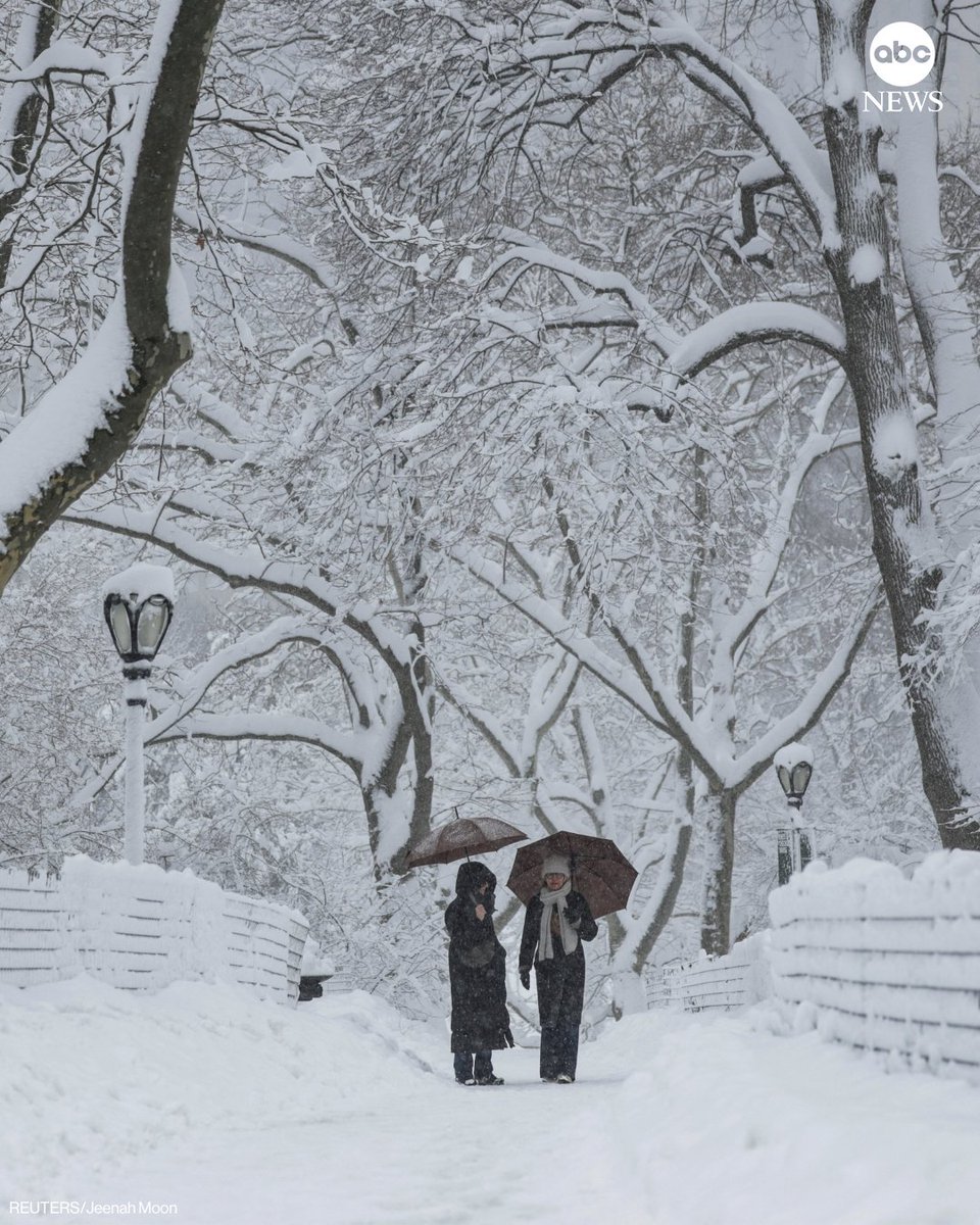 ABC News tweet media