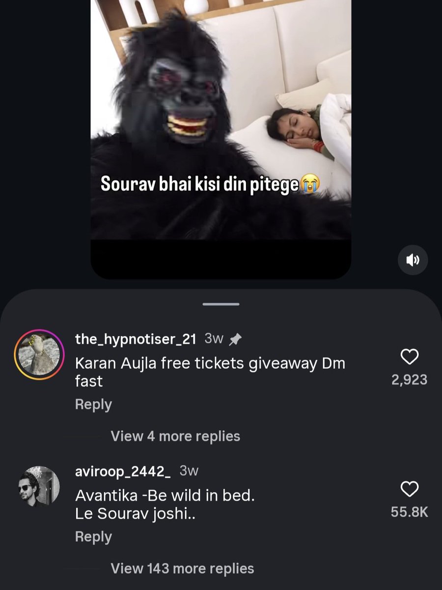 This Comment is Wild💀