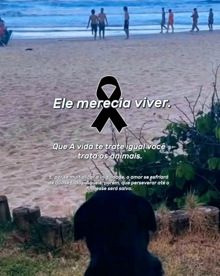 #JUSTICAPORORELHA #CEGHADEIMPUNIDADE
#CADEIAPARAMAUSTRATOS
#30MILHOESDEORELHAS