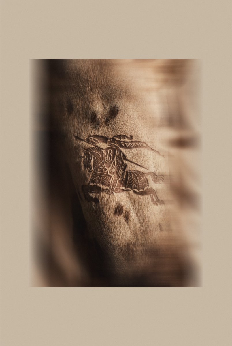 gonzzzalo tweet media