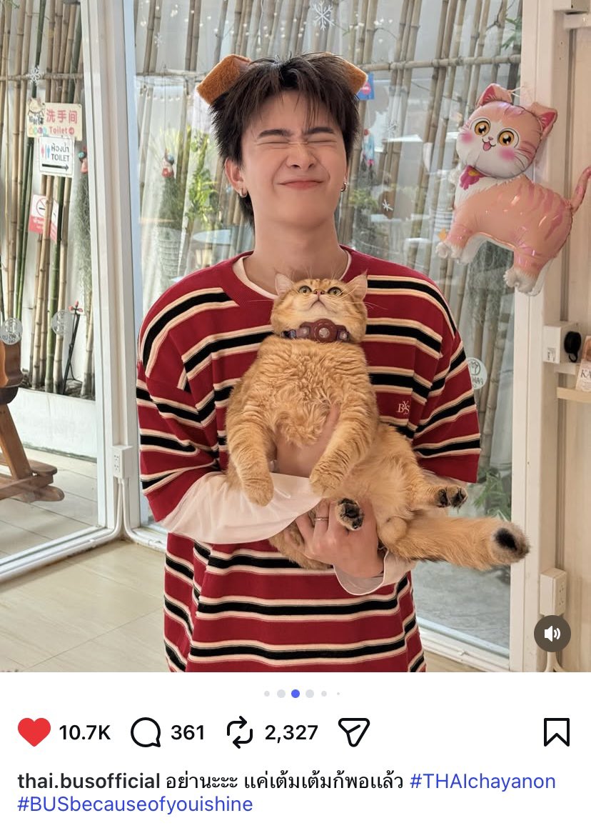 “อย่านะ แค่เต็มเต็มก็พอแล้ว” คืออ662637373662552551552525626737372625525256252625ฮีอยากมีน้องเหมียวหรอ