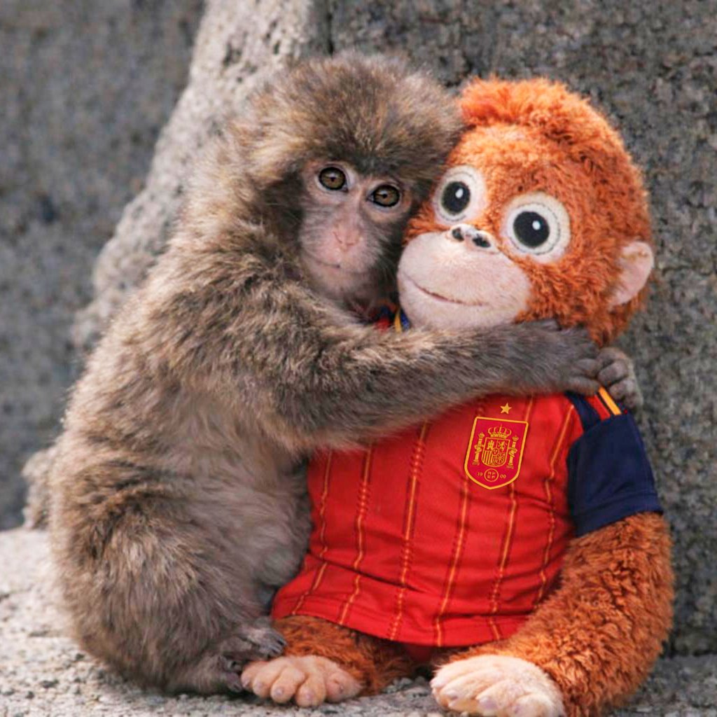 💘 ¡Nosotros también te queremos, Punch!

#VamosEspaña