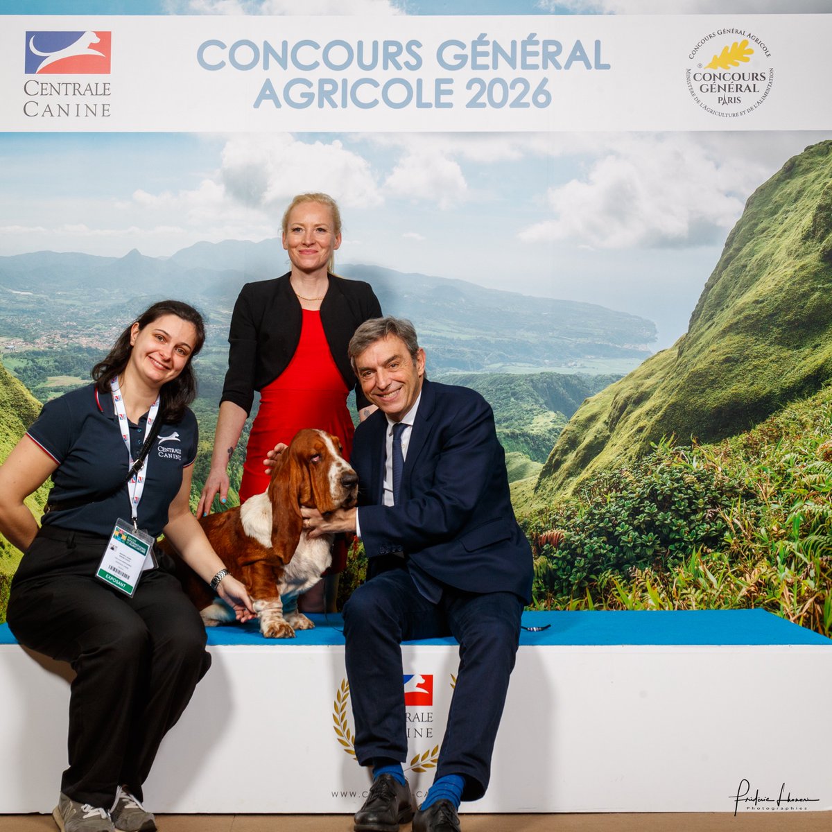 Daniel Labaronne tweet media