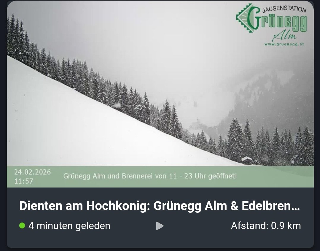 Odile DeFraye tweet media