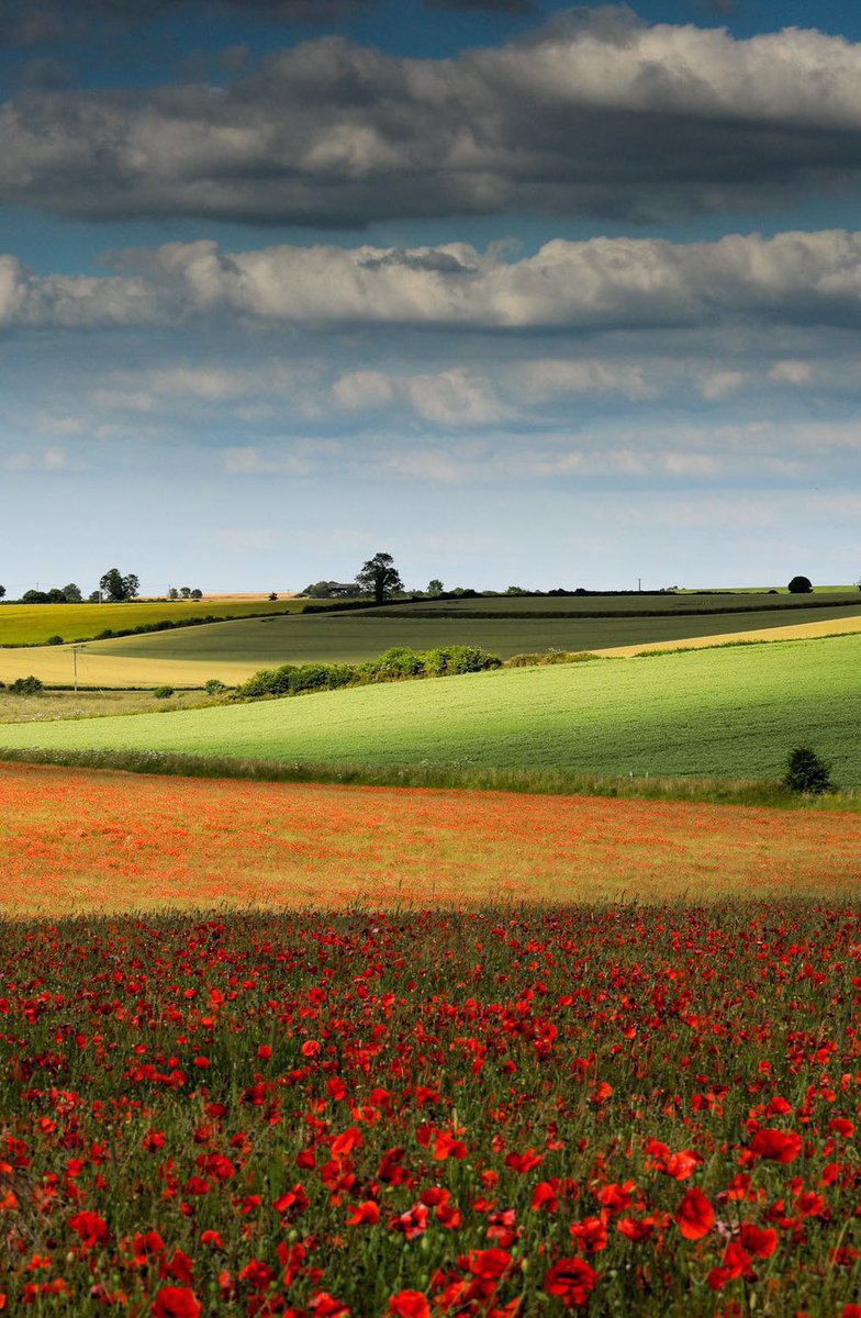 𝐌𝐚𝐭𝐭 𝐏𝐢𝐧𝐧𝐞𝐫 tweet media