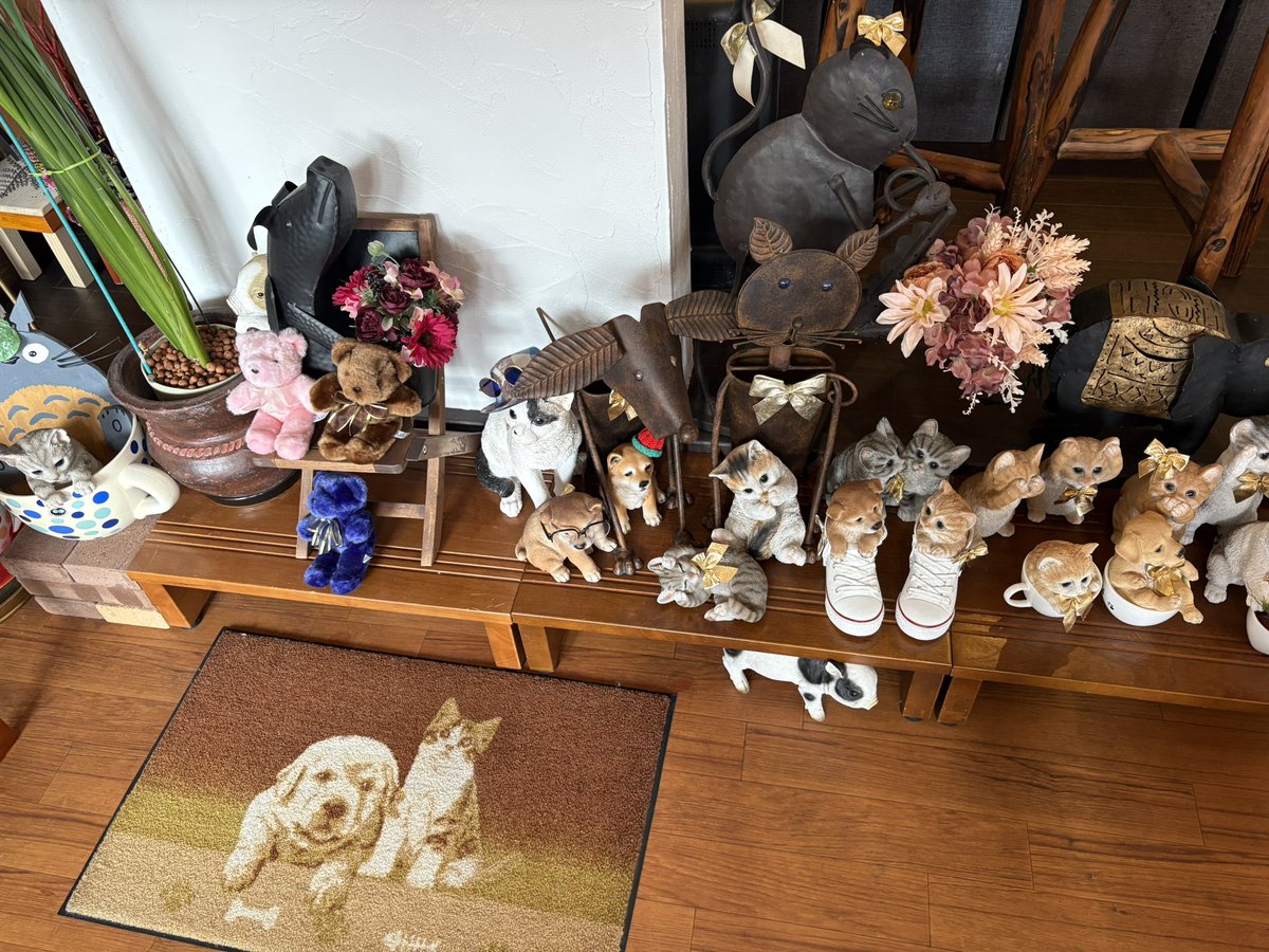 刹那/$E✴︎〜ツナ✴︎ tweet media