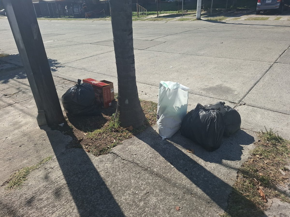 Marco Plancarte tweet media