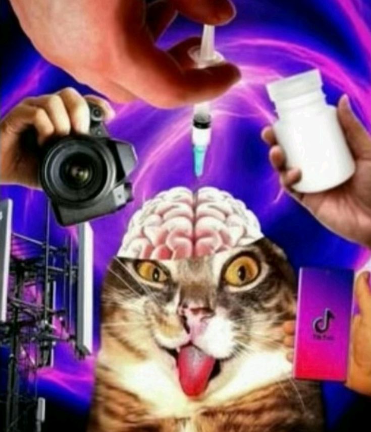 Yo teniendo ideas para aus a media clase: