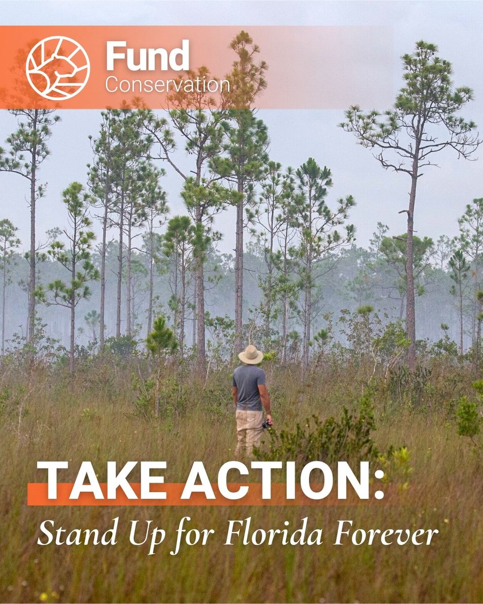 Florida Wildlife Federation tweet media