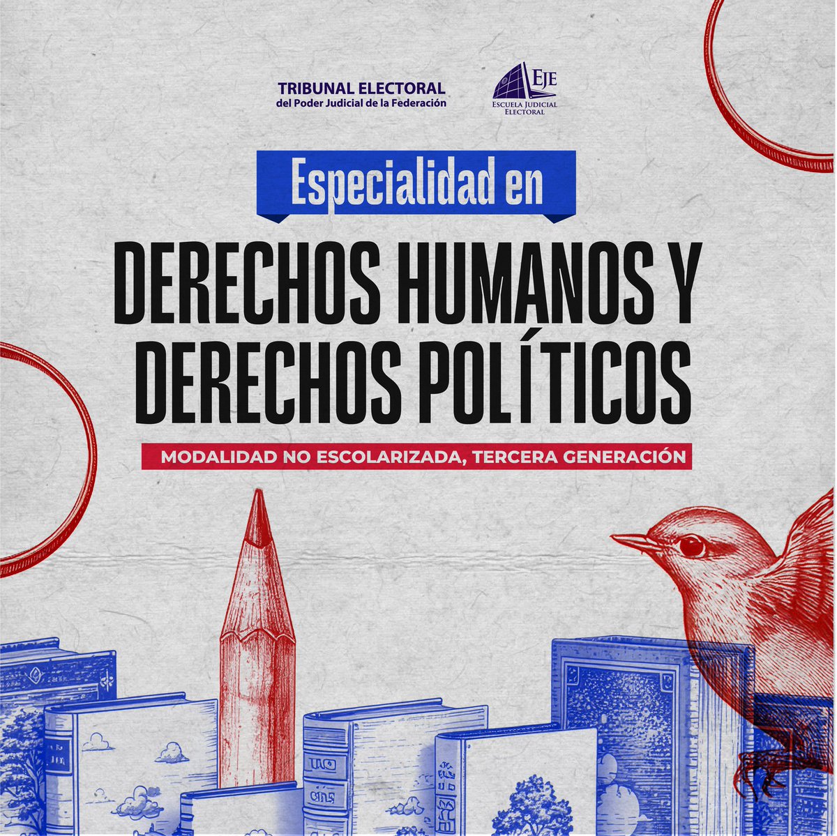 Escuela Judicial Electoral tweet media