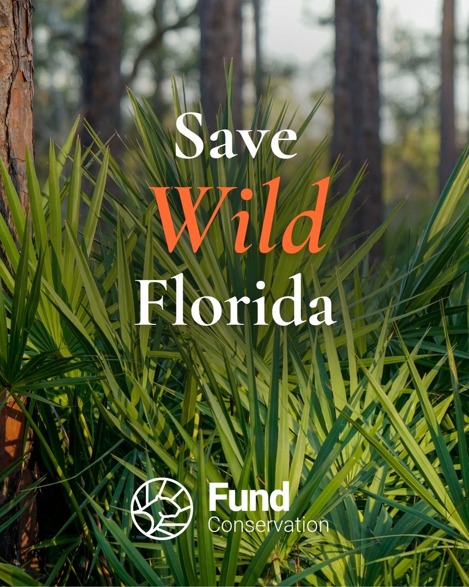 Florida Wildlife Federation tweet media