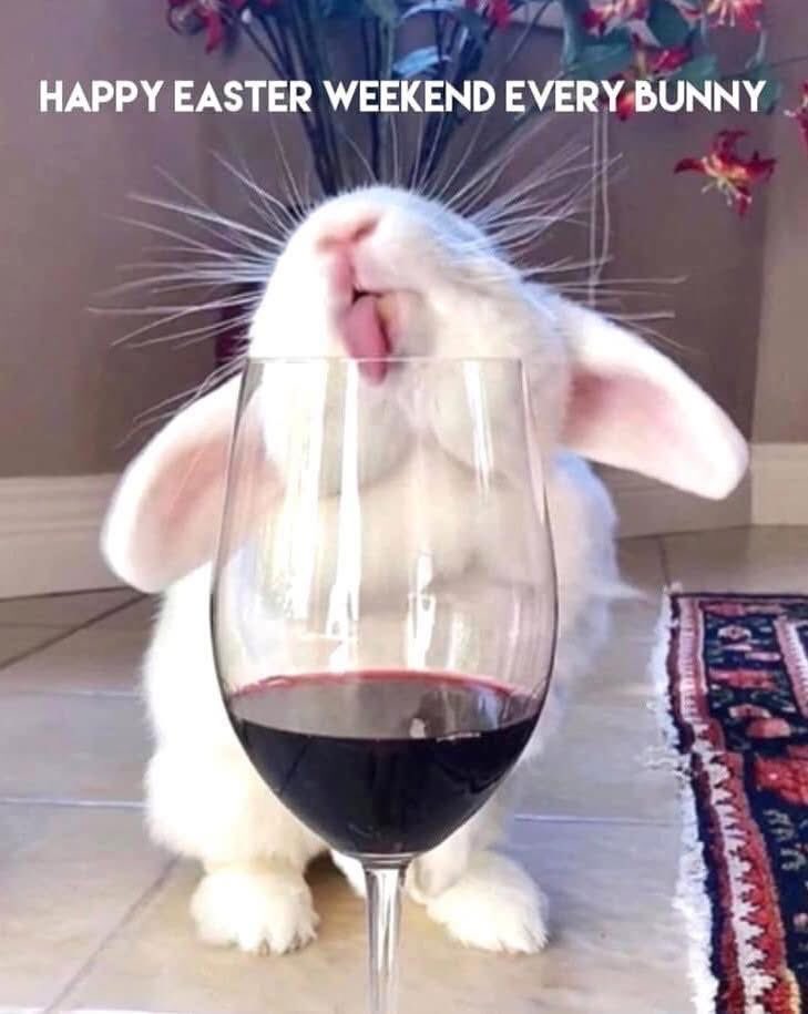 MarieAdler's tweet photo. 😛🤣🤣@MarieAdler https://t.co/d52C7H9fVd