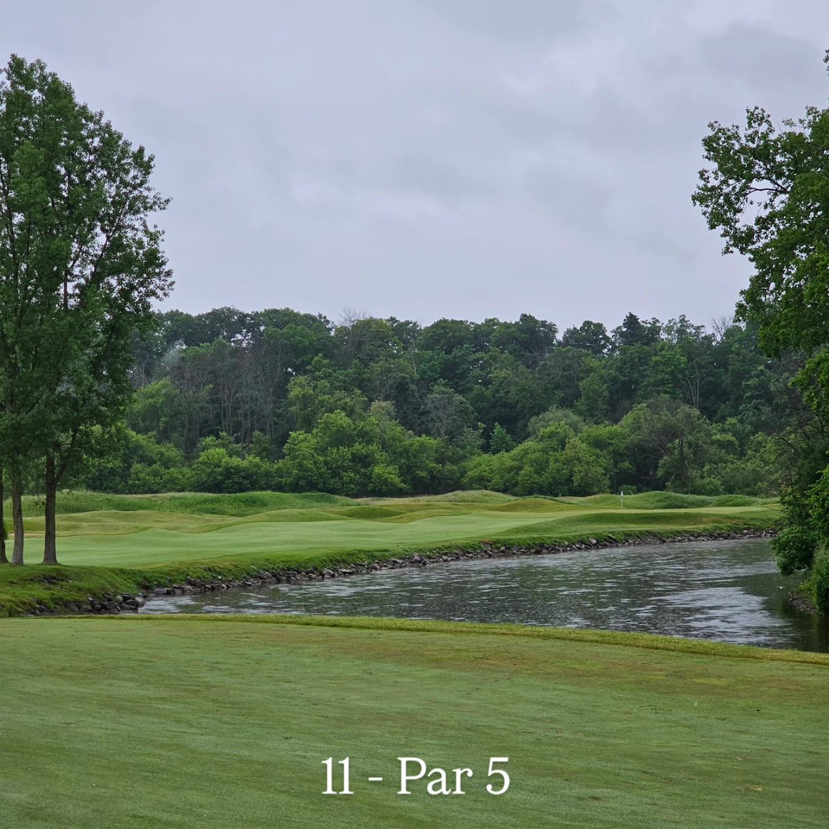 Mike Ihm ⛳ tweet media