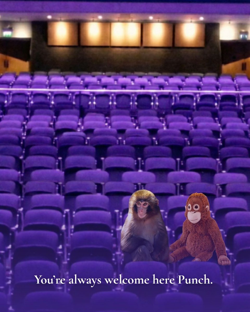 University Concert Hall tweet media