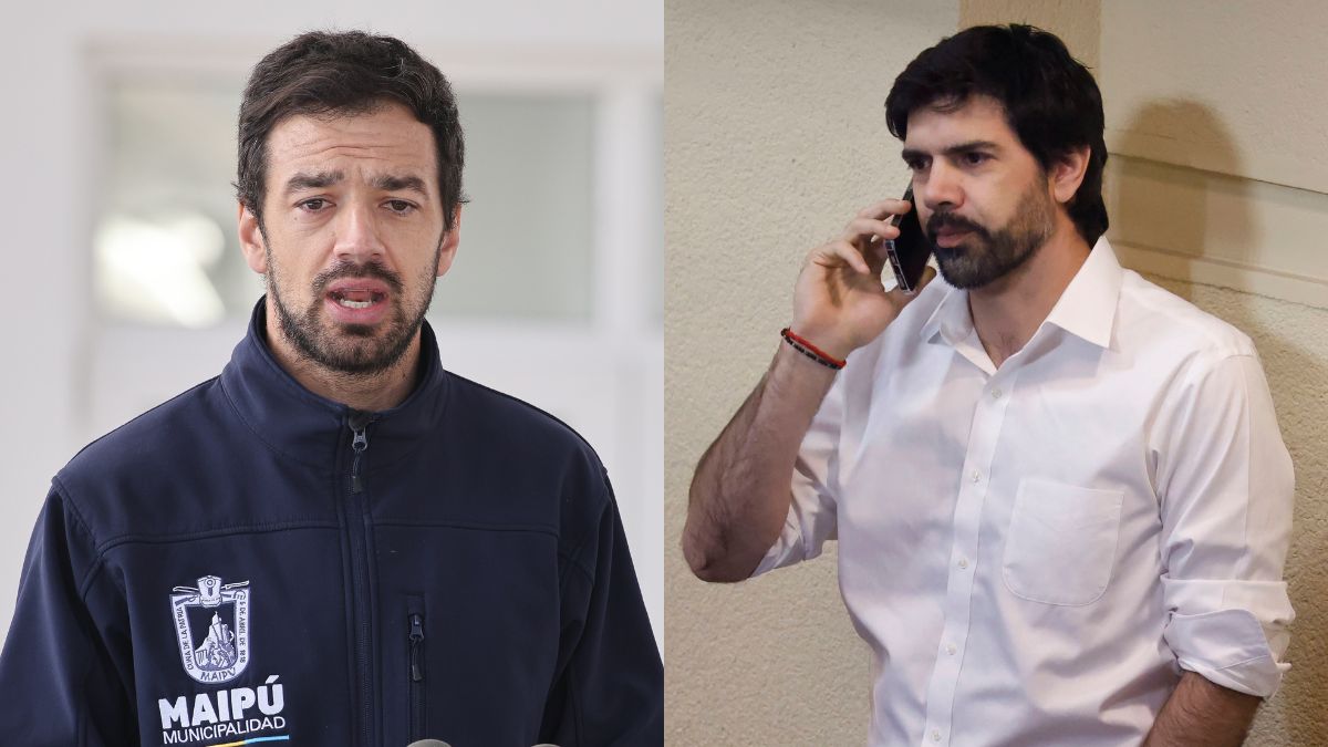 Cooperativa tweet media