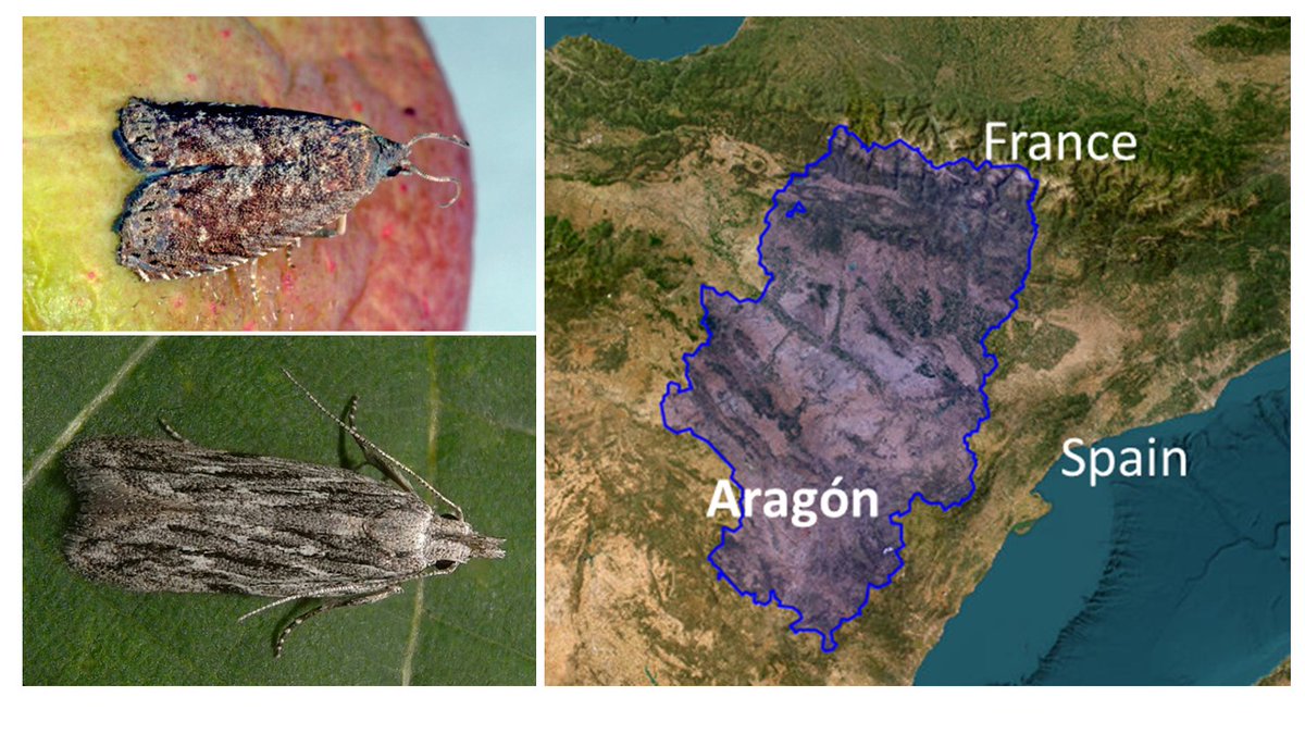 AgriDataValue tweet media