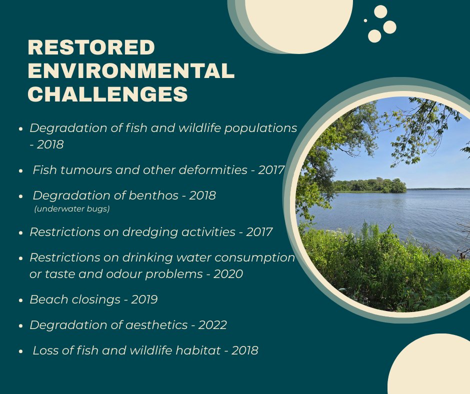 Bay of Quinte RAP tweet media