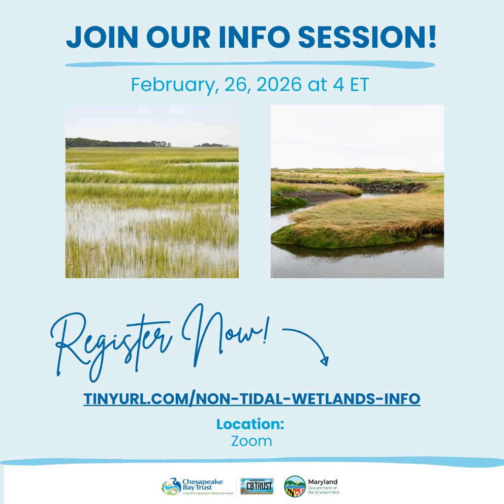 baytrust's tweet photo. The Chesapeake Bay Trust is excited to share the Maryland Department of the Environment Non-Tidal Wetlands Maintenance RFP, providing funding to support maintenance at completed forested wetland mitigation sites. 

🔗 View RFP: https://t.co/EDy7Q5swC5 https://t.co/Ph9EqLhpd1