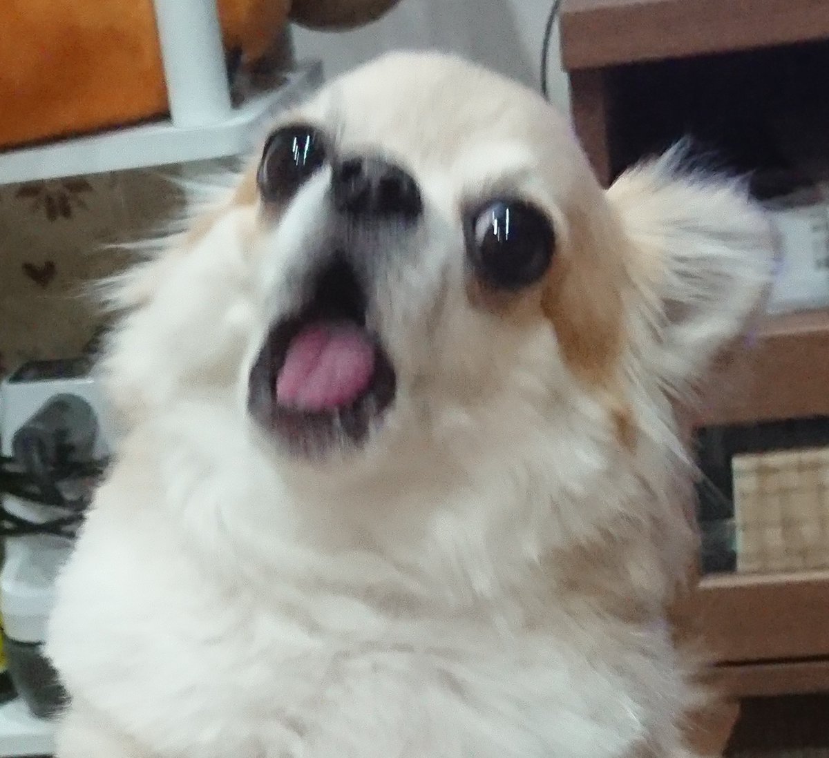 ねむい！！！！/