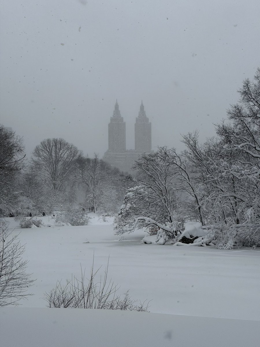 A few photos I took during the blizzard yesterday around New York City! 

The city ended up with between 20” and 29 inches of snow depending where you live. Just incredible! #NYWX