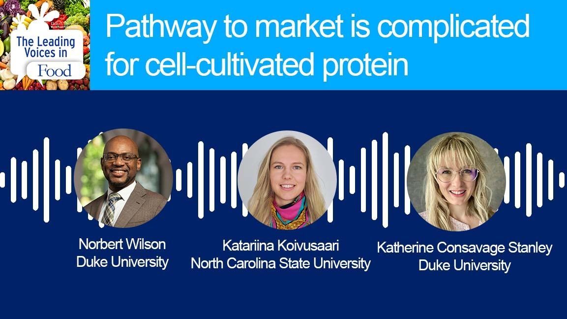 World Food Policy Center at Duke tweet media