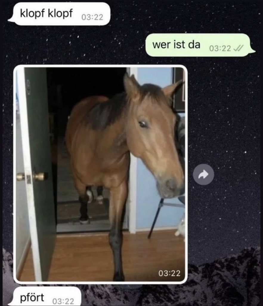 horse (@horseimage) on Twitter photo 