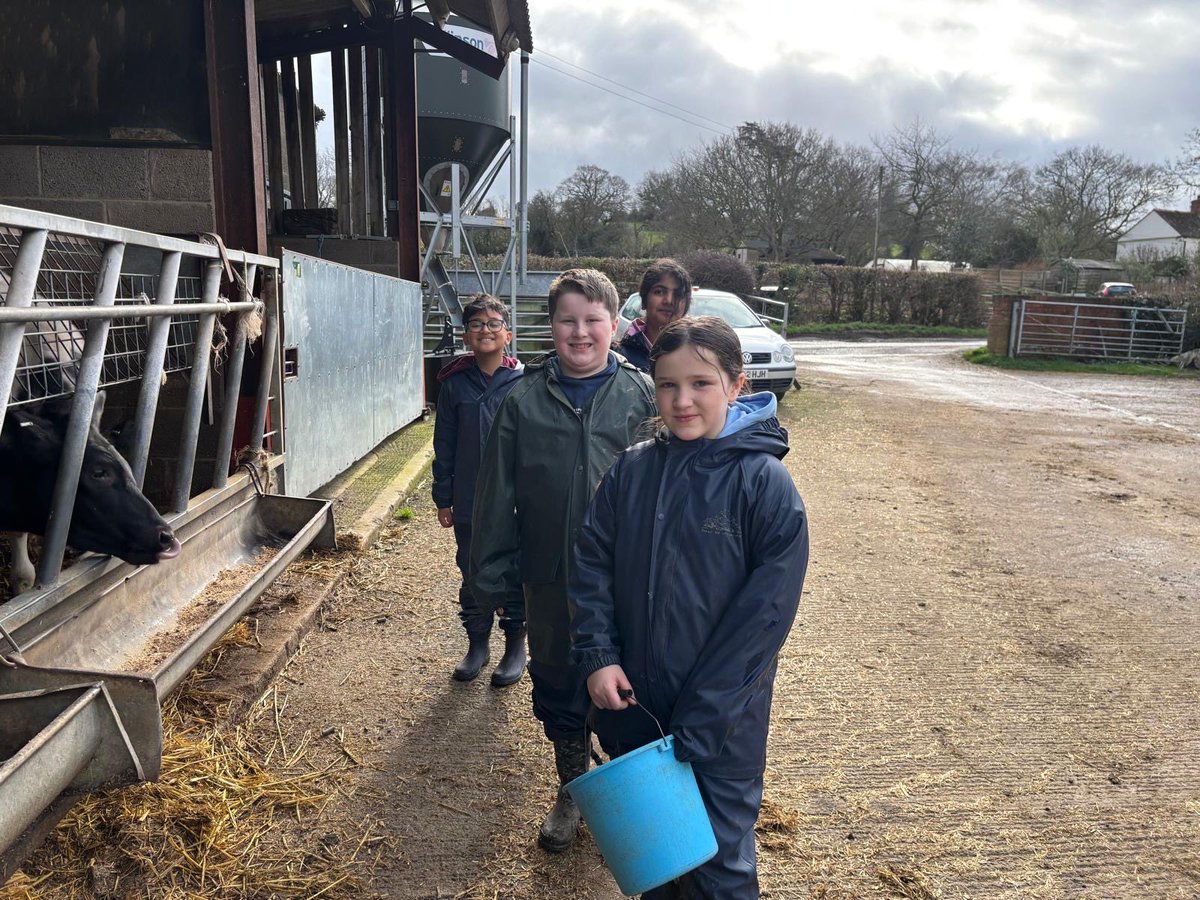 BHallTrips's tweet photo. Group 3- feeding the Cattle at Oldbury Diary https://t.co/nJnVtjYsIV