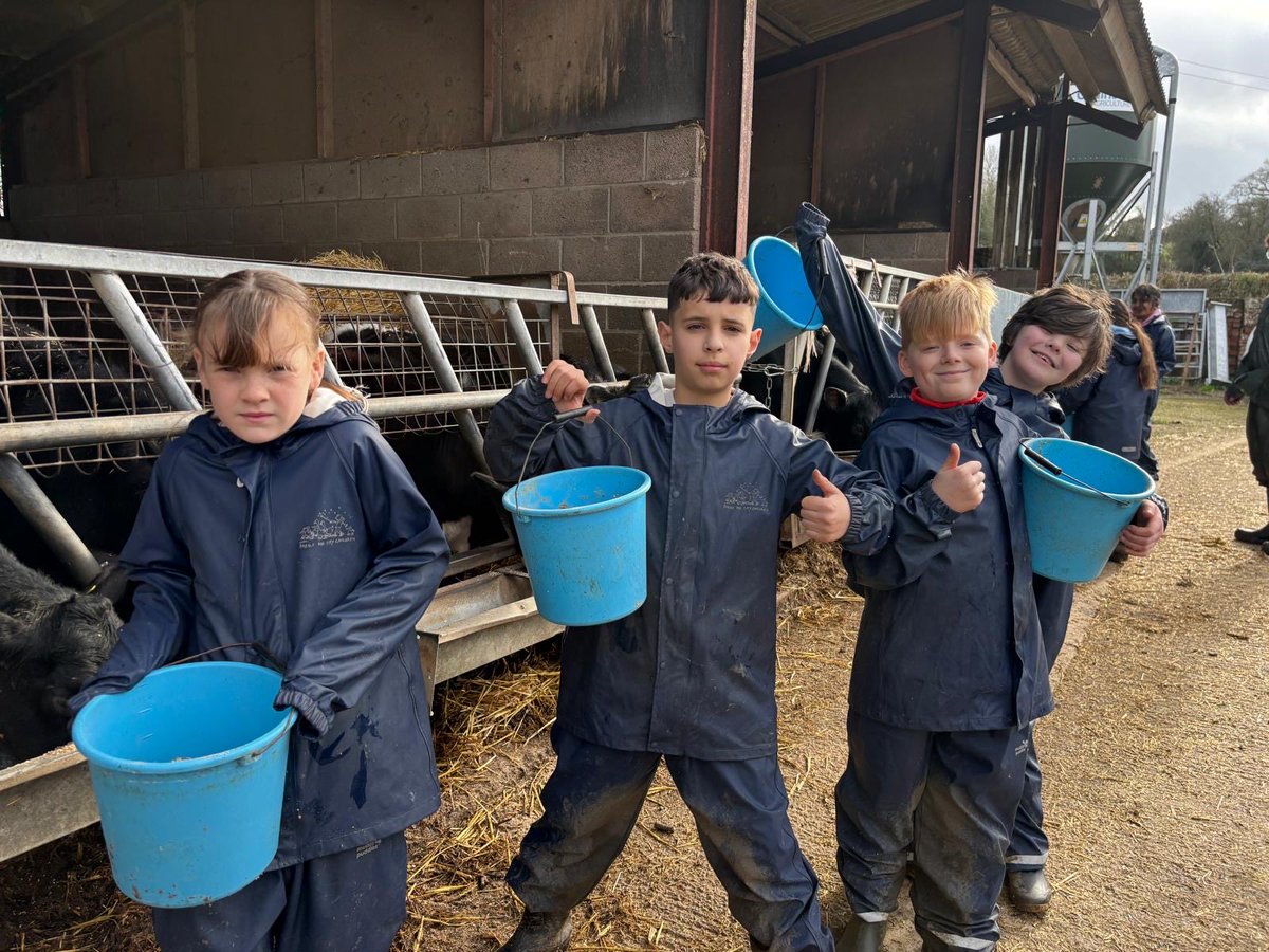 BHallTrips's tweet photo. Group 3- feeding the Cattle at Oldbury Diary https://t.co/nJnVtjYsIV