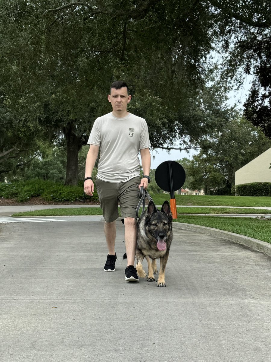 YupitsBlue tweet media