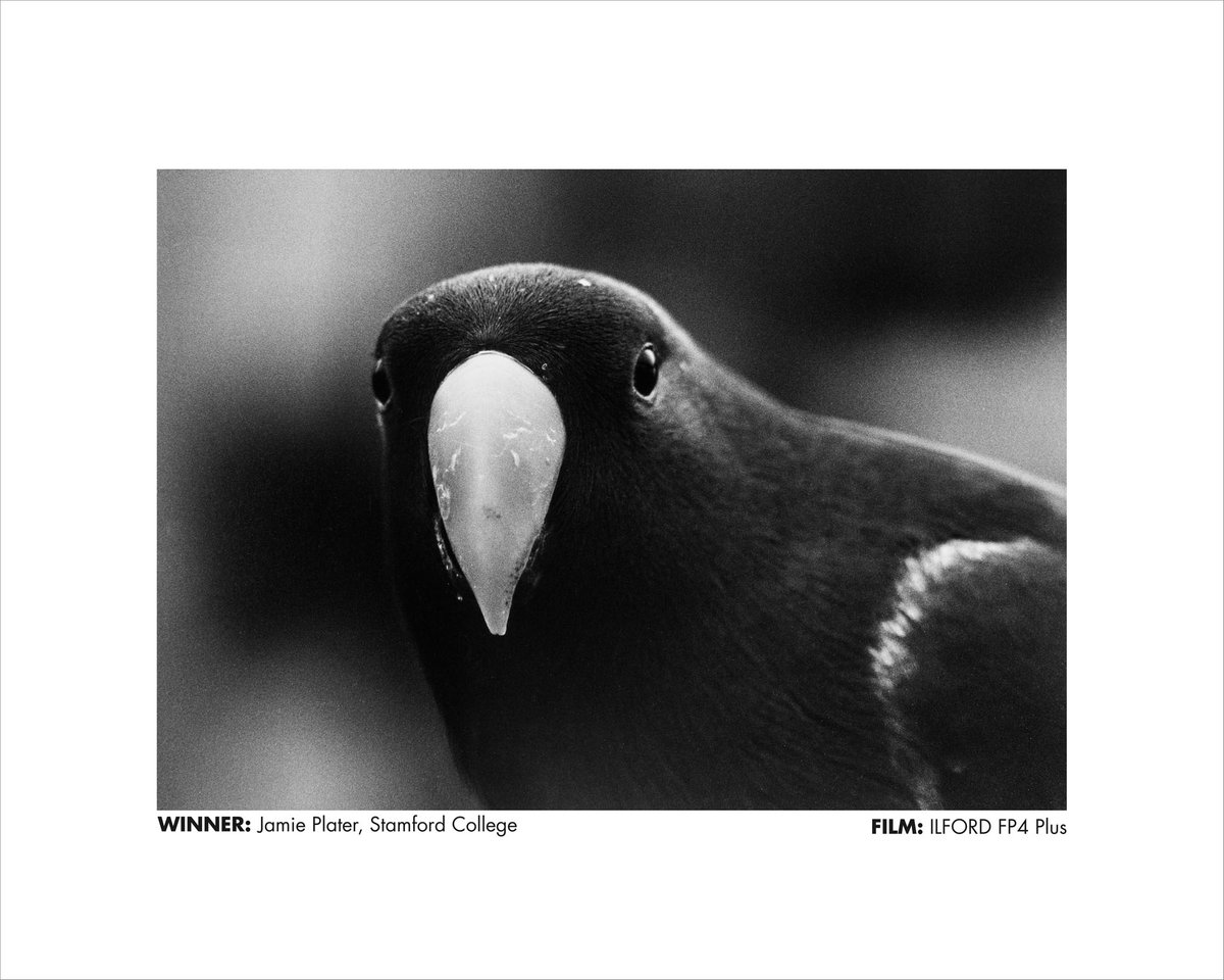 ILFORD PHOTO tweet media