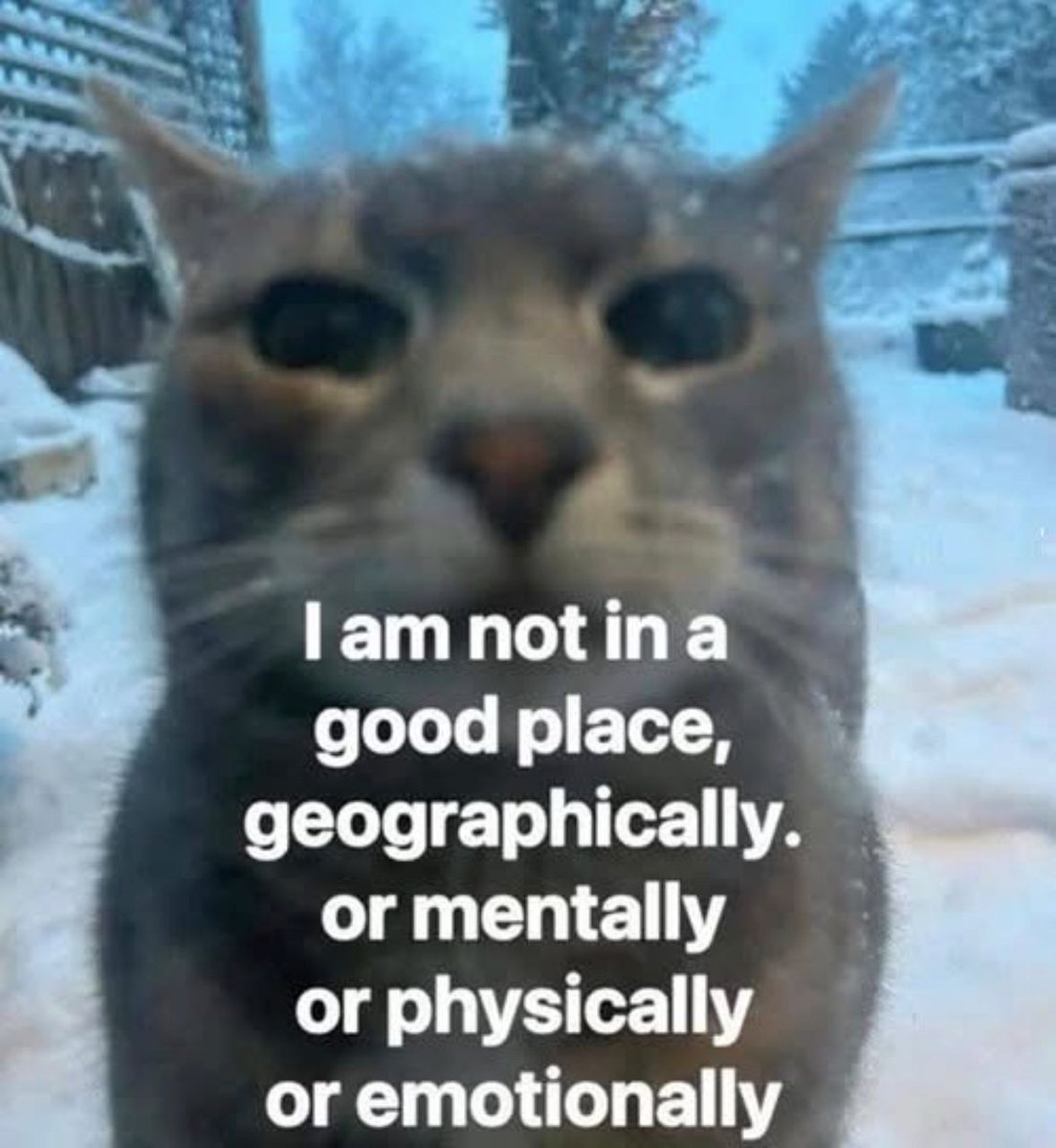 ADHD Memes tweet media