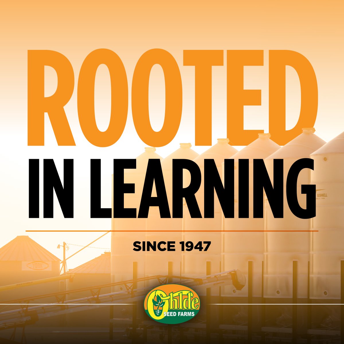 Ohlde Seed tweet media