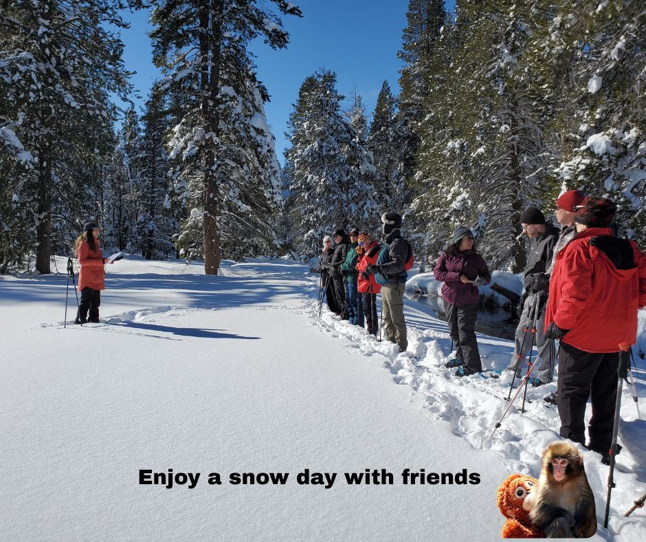 CAStateParks's tweet photo. Punch captured the 💚 of fans around the world. 🐒🫶🏼 Here at #CAStateParks, we welcome everyone to our outdoor spaces, including Punch, the monkey. 🏞️🌊 You can join our troop anytime! 🇯🇵➡️🇺🇸🌏 

#Punchmonkey https://t.co/66wsFX5j0N