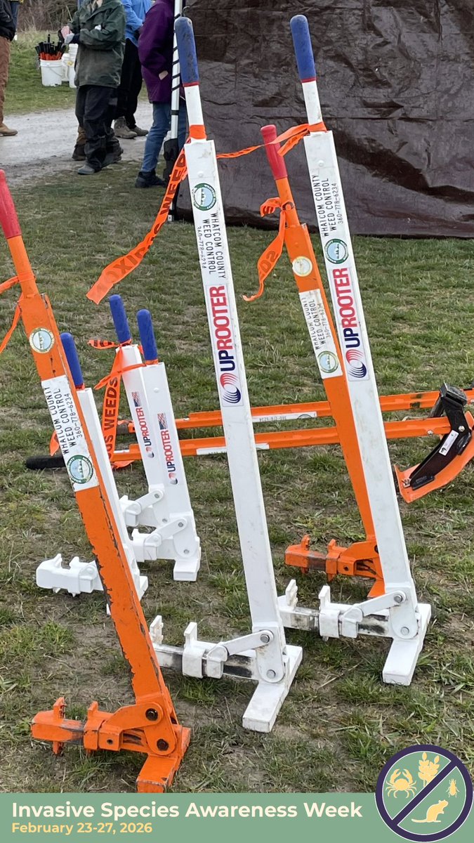 Whatcom County Public Works tweet media